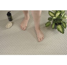 Badezimmer mit Mosaikfliesen, Seife, Bimsstein und Zimmerpflanze