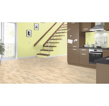 Küchenszene mit Treppe, Holzboden und Küchenschränken