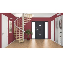 Innenraumansicht mit Wendeltreppe, Eingangstür und Einbauschrank