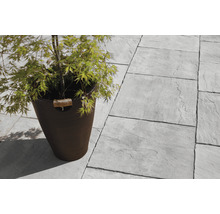 Szene mit grauen Steinplatten und Pflanze im Topf für den Gartenbereich.