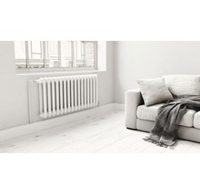 Zimmer mit Gliederheizkörper, Fenster und Sofa