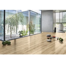 Heller Raum mit Laminatboden, Glaselement, Pflanzen und Dekor