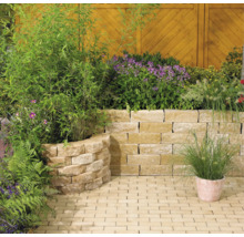 Gartenszene mit Mauer aus Steinblöcken, bepflanzt mit verschiedenen Pflanzen