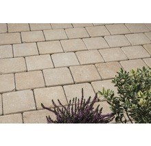 Verlegte Pflastersteine aus Beton mit Pflanzen