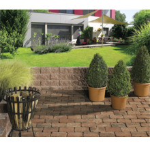 Gestalteter Garten mit Pflanzen, Pflastersteinen, Stützmauer und Feuerkorb