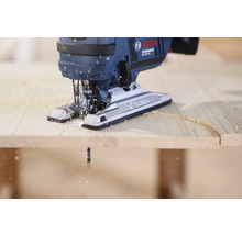 Pendelhubstichsäge beim Sägen eines Holzstücks