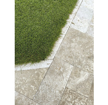 Gartenlandschaft mit Rasen und Steinplatten