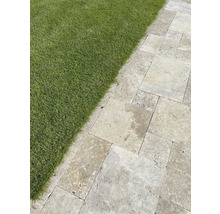 Gehwegplatten aus Naturstein neben einer Rasenfläche