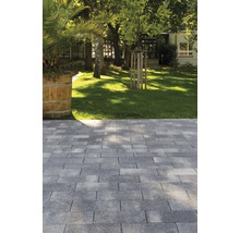 Gepflasterter Gartenweg mit Rasenfläche und Baumbestand