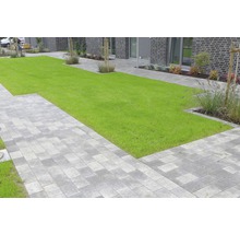 Garten mit Rasen und Pflastersteinen