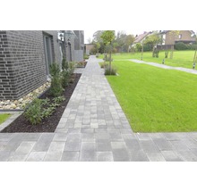 Gepflasterter Weg durch einen Garten mit Rasenflächen