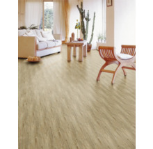 Heller Wohnraum mit Holzboden, Sofa, Tisch und Stühlen.