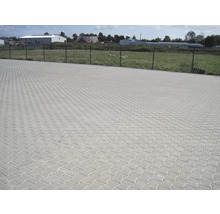 Fläche mit Pflastersteinen im Fischgrätmuster