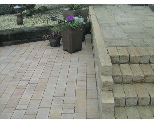 Gartenlandschaft mit Pflastersteinen, Treppe und bepflanzten Töpfen.
