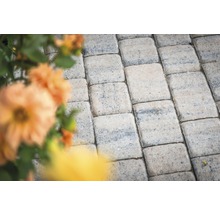 Verlegte Betonpflastersteine im Garten