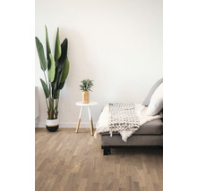 Wohnzimmer mit Zimmerpflanze, Tisch und Sofa