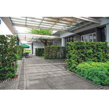 Außenbereich mit grauen Fliesen und Pflanzen