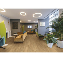 Innenraum mit Holzboden, Sofas und Zimmerpflanzen