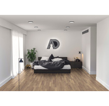 Helles Schlafzimmer mit Bett, Nachttisch und Zimmerpflanze