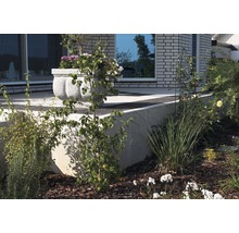 Gartenszene mit Pflanzen, Blumen und Pflanzgefäß vor einem Haus