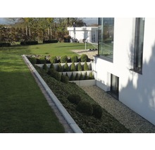 Ansicht eines Gartens mit Rasen, Pflanzen und Stützmauer