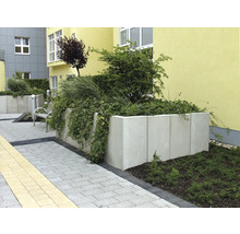 Gestaltung eines Außenbereichs mit Pflanzkästen aus Beton, bepflanzt mit verschiedenen Grünpflanzen