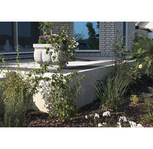 Gestalteter Gartenbereich mit Pflanzen und Dekorationselementen.