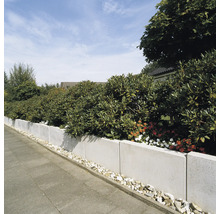 Gartenmauer mit Pflanzen und Steinen zur Gartengestaltung