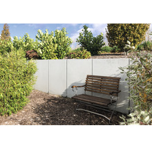 Gartenszene mit Betonmauer, bepflanzter Böschung und Holzbank