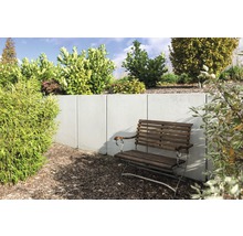 Gartenszene mit einer Betonmauer, bepflanzten Büschen und einer Holzbank