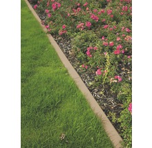 Gartenlandschaft mit Rasen, Blumen und Rasenkante