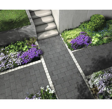 Gartenweg mit Pflastersteinen, Treppe und Bepflanzung