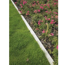 Gartenlandschaft mit Rasen, Beetbegrenzung und Rosenbeet