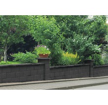 Eine Mauer aus Betonsteinen mit Pflanzen im Garten