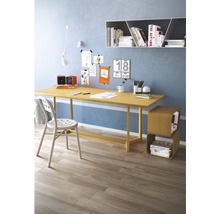 Arbeitszimmer mit Schreibtisch, Stuhl, Regalen und Dekorationsartikeln