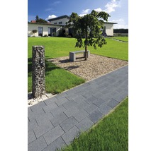 Gartenlandschaft mit Pflasterweg, Gabionen und Baum