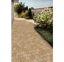 Gartenweg gepflastert mit rechteckigen Pflastersteinen