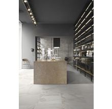 Innenraum mit Bodenfliesen in Marmoroptik, Tresen und Regalen mit Produkten