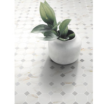 Dekorative Bodenfliesen mit achteckigem Muster und Pflanze im Topf.