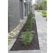 Außenbereich mit Pflastersteinen, Pflanzen und dekorativen Steinen