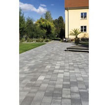 Gepflasterter Weg durch einen Park mit Bäumen und einem Gebäude