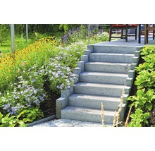 Betontreppe in einem Garten mit üppiger Bepflanzung.