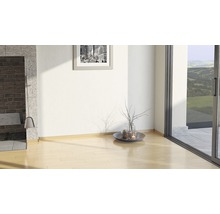 Heller Raum mit Kamin, Bild, Dekoration und Schiebetür