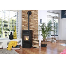 Wohnzimmer mit Kaminofen, Brennholzregal und Zimmerpflanze