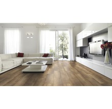 Heller Wohnraum mit Laminatboden, Sofa und Fernseher