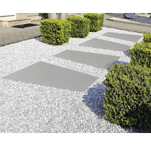 Gartenweg mit Trittplatten, Kies und Büschen