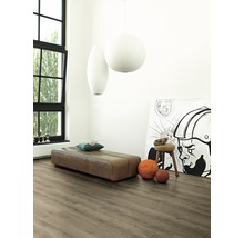 Heller Raum mit Holzboden, Sitzbank, Kunst und Pendelleuchten