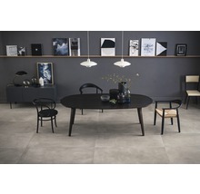 Esstischgruppe in einem modern eingerichteten Raum mit Fliesenboden