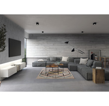 Modernes Wohnzimmer mit grauer Eckcouch, Teppich mit geometrischem Muster und grauen Wandfliesen.