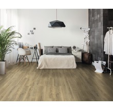 Modernes Schlafzimmer mit Holzboden, Bett, Schreibtisch und Zimmerpflanze